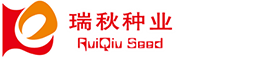 yT(mn)logo